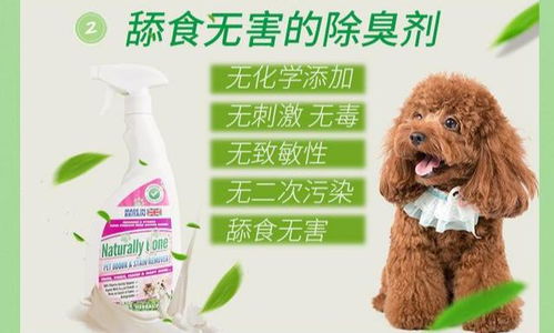 宠物消毒守护战 十大产品排行榜深度解析，拜耳与科莱施王牌对决